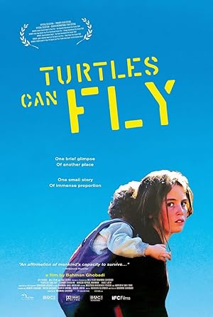 Turtles Can Fly poster
